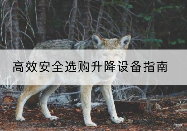 安陆升降货梯厂家推荐-*安全选购升降设备指南