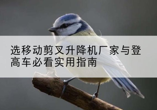 安陆电动升降机厂家-选移动剪叉升降机厂家与登高车必看实用指南