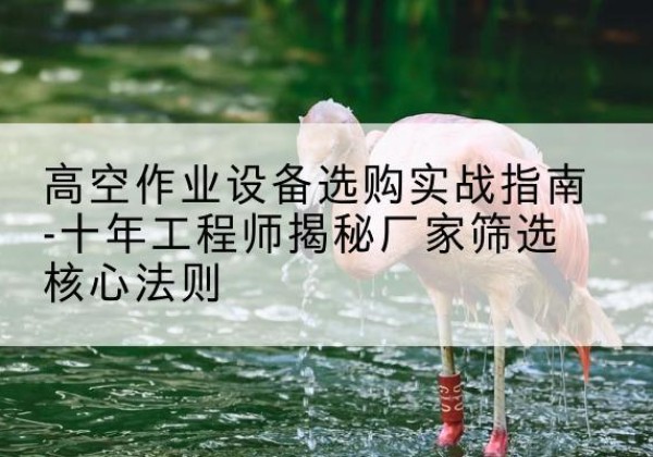 安陆剪叉式升降机厂家-高空作业设备选购实战指南-十年工程师揭秘厂家筛选核心法则